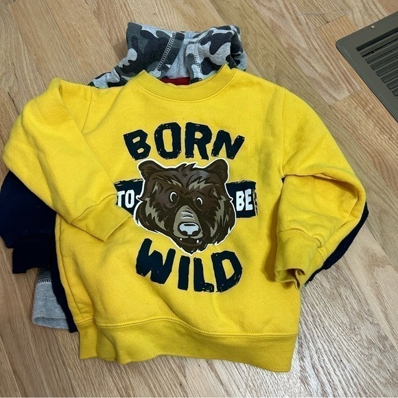 2T Sweatshirt Bundle Boys SpongeBob SquarePants Thomas the Tank Engine Bear - Picture 5 of 5